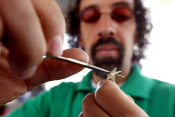 Caracas.- A group of craftsmen gather in Plaza El Venezolano to offer their product and offer different forums in the Craftsman's Week.Gregorio Terán / AVN / LANA