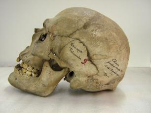 The process of restitution to Qom communities of the skull of Chief Polvareda, killed at the end of the 19th century in the framework of the "Conquest of the Green Desert", achieved another progress today after the National Institute of Indigenous Affairs (INAI) approved the delivery of the remains that make up the collections of the Natural Science Museum of La Plata. His skull was "collected" by surveyor Carlos Chaperouge who accompanied Colonel Manuel Obligado in the campaign against the Qom people, where many were massacred to demarcate the lands of the Argentine national territory.