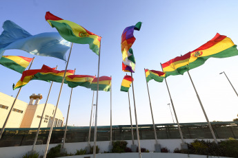 Every August 17 since 1925, Bolivia celebrates Flag Day in commemoration of the anniversary of the creation of the first Bolivian insignia in 1825. Currently formed by three horizontal strips of equal width and dimensions, known as 'La Tricolor' is Red, yellow and green. The Supreme Decree of July 14, 1888 establishes in its 5th article that: 1 The red stripe represents the blood shed by our heroes for the birth and preservation of the Republic. The yellow one represents our wealth and natural resources. The green one, represents the richness of our nature and hope, as a main value of our society.