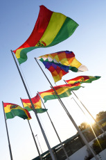 Cada 17 de agosto desde 1925, Bolivia celebra el Día de la Bandera en conmemoración al aniversario de creación de la primera insignia boliviana en 1825. Formada en la actualidad por tres franjas horizontales de igual anchura y dimensiones, la conocida como 'La Tricolor' es roja, amarilla y verde. El Decreto Supremo del 14 de julio de 1888 establece en su artículo 5º que:1​ La franja de color rojo, representa la sangre derramada por nuestros héroes para el nacimiento y preservación de la República. La de color amarillo, representa nuestras riquezas y recursos naturales. La de color verde, representa la riqueza de nuestra naturaleza y la esperanza, como un valor principal de nuestra sociedad.