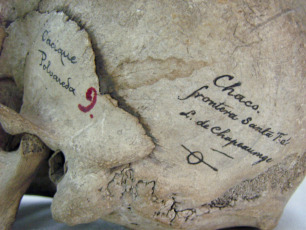 The process of restitution to Qom communities of the skull of Chief Polvareda, killed at the end of the 19th century in the framework of the "Conquest of the Green Desert", achieved another progress today after the National Institute of Indigenous Affairs (INAI) approved the delivery of the remains that make up the collections of the Natural Science Museum of La Plata. His skull was "collected" by surveyor Carlos Chaperouge who accompanied Colonel Manuel Obligado in the campaign against the Qom people, where many were massacred to demarcate the lands of the Argentine national territory.