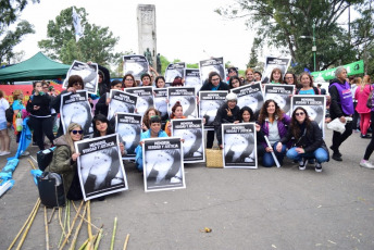 La Plata, Argentina.- Today, October 13, 2019, thousands of women participate in the workshops of the National Meeting of Women in the city of La Plata. In the afternoon a national women's march will be held that will conclude at the Unique Stadium of that City. There was also a "tetazo" in front of the Cathedral of La Plata for the separation of the Church from the State. On the second day of the 34th National Meeting of Women, hundreds of women demonstrated in front of the emblematic building, which is fenced and guarded by a hundred women police