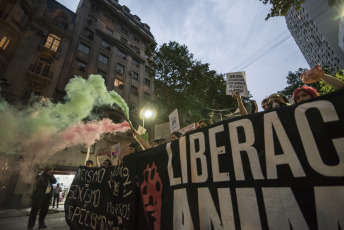 BUENOS AIRES, ARGENTINA.- Activistas por los derechos de los animales marcharon ayer 2 de noviembre de 2019 desde la Plaza de Mayo de la Capital Argentina donde desplegaron tres banderas que encabezaron la marcha hacia el Congreso de la Nación con  las consignas: "Liberación animal", "Basta de esclavismo, Basta de especismo. Si sos neutral en tiempos de injusticia has elegido el lado del opresor. Veganismo es justicia" y "Racismo = Sexismo = Especismo". Participaron activistas independendiente, Anonymous for the Voiceless, Health Save, Animal libre, Voicot, entre otras.