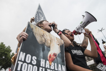 BUENOS AIRES, ARGENTINA.- Activistas por los derechos de los animales marcharon ayer 2 de noviembre de 2019 desde la Plaza de Mayo de la Capital Argentina donde desplegaron tres banderas que encabezaron la marcha hacia el Congreso de la Nación con  las consignas: "Liberación animal", "Basta de esclavismo, Basta de especismo. Si sos neutral en tiempos de injusticia has elegido el lado del opresor. Veganismo es justicia" y "Racismo = Sexismo = Especismo". Participaron activistas independendiente, Anonymous for the Voiceless, Health Save, Animal libre, Voicot, entre otras.