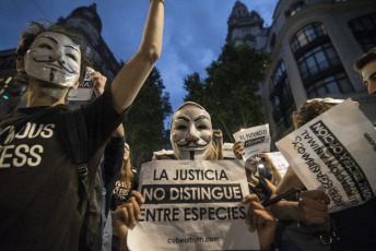 BUENOS AIRES, ARGENTINA.- Activistas por los derechos de los animales marcharon ayer 2 de noviembre de 2019 desde la Plaza de Mayo de la Capital Argentina donde desplegaron tres banderas que encabezaron la marcha hacia el Congreso de la Nación con  las consignas: "Liberación animal", "Basta de esclavismo, Basta de especismo. Si sos neutral en tiempos de injusticia has elegido el lado del opresor. Veganismo es justicia" y "Racismo = Sexismo = Especismo". Participaron activistas independendiente, Anonymous for the Voiceless, Health Save, Animal libre, Voicot, entre otras.