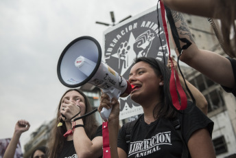 BUENOS AIRES, ARGENTINA.- Animal rights activists marched yesterday, November 2, 2019 from the Plaza de Mayo of the Argentine Capital where they displayed three flags that led the march towards the National Congress with the slogans: "Animal Liberation "," Enough of slavery, Enough of specism. If you are neutral in times of injustice you have chosen the side of the oppressor. Veganism is justice "and" Racism = Sexism = Specism ". Independent activists, Anonymous for the Voiceless, Health Save, Free Animal, Voicot, among others participated.