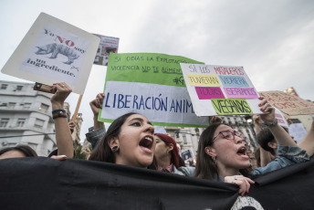 BUENOS AIRES, ARGENTINA.- Animal rights activists marched yesterday, November 2, 2019 from the Plaza de Mayo of the Argentine Capital where they displayed three flags that led the march towards the National Congress with the slogans: "Animal Liberation "," Enough of slavery, Enough of specism. If you are neutral in times of injustice you have chosen the side of the oppressor. Veganism is justice "and" Racism = Sexism = Specism ". Independent activists, Anonymous for the Voiceless, Health Save, Free Animal, Voicot, among others participated.