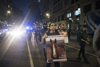 BUENOS AIRES, ARGENTINA.- Animal rights activists marched yesterday, November 2, 2019 from the Plaza de Mayo of the Argentine Capital where they displayed three flags that led the march towards the National Congress with the slogans: "Animal Liberation "," Enough of slavery, Enough of specism. If you are neutral in times of injustice you have chosen the side of the oppressor. Veganism is justice "and" Racism = Sexism = Specism ". Independent activists, Anonymous for the Voiceless, Health Save, Free Animal, Voicot, among others participated.