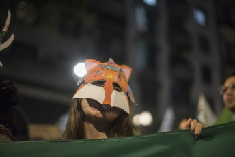 BUENOS AIRES, ARGENTINA.- Animal rights activists marched yesterday, November 2, 2019 from the Plaza de Mayo of the Argentine Capital where they displayed three flags that led the march towards the National Congress with the slogans: "Animal Liberation "," Enough of slavery, Enough of specism. If you are neutral in times of injustice you have chosen the side of the oppressor. Veganism is justice "and" Racism = Sexism = Specism ". Independent activists, Anonymous for the Voiceless, Health Save, Free Animal, Voicot, among others participated.