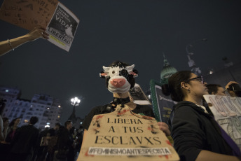 BUENOS AIRES, ARGENTINA.- Activistas por los derechos de los animales marcharon ayer 2 de noviembre de 2019 desde la Plaza de Mayo de la Capital Argentina donde desplegaron tres banderas que encabezaron la marcha hacia el Congreso de la Nación con  las consignas: "Liberación animal", "Basta de esclavismo, Basta de especismo. Si sos neutral en tiempos de injusticia has elegido el lado del opresor. Veganismo es justicia" y "Racismo = Sexismo = Especismo". Participaron activistas independendiente, Anonymous for the Voiceless, Health Save, Animal libre, Voicot, entre otras.