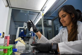 Buenos Aires, Argentina.- En las fotos tomadas el 29 de noviembre del 2022, científicos de la Facultad de Farmacia y Bioquímica de la UBA (FFyB) y el Conicet desarrollaron una biotinta que contiene aceite de cannabis para impresión 3D que puede utilizarse en la regeneración de tejidos o restauración de órganos dañado, lo que constituye una novedad a nivel mundial por el uso del derivado de esta planta con propiedades antimicrobianas y antioxidantes entre otros beneficios, además de ser biocompatible.