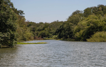 Entre Rios, Argentina.- In the photos taken on February 2, 2023, it shows a wetland of a provincial park on three islands of the Uruguay River in the Argentine province of Entre Rios. The United Nations Environment Program (UNEP) warned about the endangered situation of vegetated wetlands, such as swamps and marshes and other aquatic environments around the world. The entity refers that due to contamination or degradation as a consequence of climate change and human development, at least 35 percent of the world's wetlands were lost in the period between 1970 and 2015.