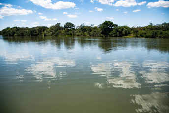 Entre Rios, Argentina.- En las fotos tomadas el 2 de febrero del 2023, muestra un humedal de un parque provincial en tres islas del río Uruguay en la provincia argentina de Entre Rios. El Programa de las Naciones Unidas para el Medio Ambiente (Pnuma) de las Naciones Unidas (ONU) alertó sobre la situación de peligro en que se encuentran los humedales con vegetación, como los pantanos y las marismas y otros entornos acuáticos de todo el mundo. El ente refiere que debido a la contaminación o degradación como consecuencia del cambio climático y el desarrollo humano, al menos el 35 por ciento de los humedales del mundo se perdió en el periodo comprendido entre 1970 y 2015.