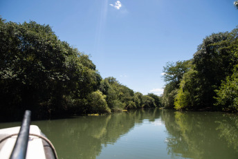 Entre Rios, Argentina.- En las fotos tomadas el 2 de febrero del 2023, muestra un humedal de un parque provincial en tres islas del río Uruguay en la provincia argentina de Entre Rios. El Programa de las Naciones Unidas para el Medio Ambiente (Pnuma) de las Naciones Unidas (ONU) alertó sobre la situación de peligro en que se encuentran los humedales con vegetación, como los pantanos y las marismas y otros entornos acuáticos de todo el mundo. El ente refiere que debido a la contaminación o degradación como consecuencia del cambio climático y el desarrollo humano, al menos el 35 por ciento de los humedales del mundo se perdió en el periodo comprendido entre 1970 y 2015.