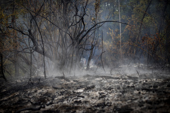 Rio Negro, Argentina.- In the photos taken on March 7, 2023, it shows the forest fire that consumed about one hundred hectares of native vegetation and scrub in El Bolsón, in the province of Río Negro. The advance of the fire was controlled by the brigade members, while a 30-year-old man is being held for his alleged connection to the incident.