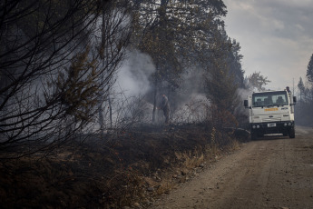 Rio Negro, Argentina.- In the photos taken on March 7, 2023, it shows the forest fire that consumed about one hundred hectares of native vegetation and scrub in El Bolsón, in the province of Río Negro. The advance of the fire was controlled by the brigade members, while a 30-year-old man is being held for his alleged connection to the incident.