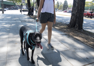 Buenos Aires, Argentina.- En las fotos tomadas el 7 de marzo del 2023, muestra las calles de Buenos Aires en medio de la ola de calor. Este martes, según el Servicio Meteorológico Nacional (SMN) la Ciudad de Buenos Aires y sus alrededores se mantienen bajo alerta roja, con cielo parcialmente nublado, una temperatura estimada en 23 grados de mínima y 33 de máxima.