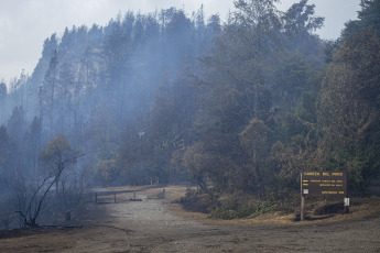 Rio Negro, Argentina.- In the photos taken on March 7, 2023, it shows the forest fire that consumed about one hundred hectares of native vegetation and scrub in El Bolsón, in the province of Río Negro. The advance of the fire was controlled by the brigade members, while a 30-year-old man is being held for his alleged connection to the incident.