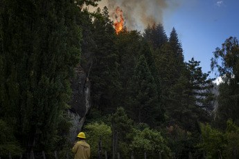 Rio Negro, Argentina.- In the photos taken on March 6, 2022, firefighters try to contain the flames of a forest fire in El Bolsón, in the province of Río Negro. They suspect that the fire would have started intentionally, for which there is a detainee, according to the government of Río Negro. The gusts of wind contributed so that in a few minutes the fire reached various sectors of a hill, near popular neighborhoods