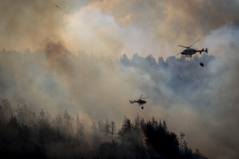 Rio Negro, Argentina.- In the photos taken on March 6, 2022, firefighters try to contain the flames of a forest fire in El Bolsón, in the province of Río Negro. They suspect that the fire would have started intentionally, for which there is a detainee, according to the government of Río Negro. The gusts of wind contributed so that in a few minutes the fire reached various sectors of a hill, near popular neighborhoods