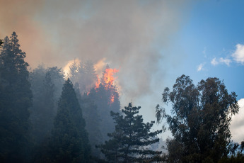 Rio Negro, Argentina.- In the photos taken on March 6, 2022, firefighters try to contain the flames of a forest fire in El Bolsón, in the province of Río Negro. They suspect that the fire would have started intentionally, for which there is a detainee, according to the government of Río Negro. The gusts of wind contributed so that in a few minutes the fire reached various sectors of a hill, near popular neighborhoods