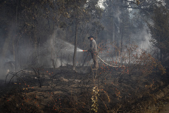 Rio Negro, Argentina.- En las fotos tomadas el 7 de marzo del 2023, muestra el incendio forestal que consumió unas cien hectáreas de vegetación nativa y matorral en El Bolsón, en la provincia de Río Negro. El avance del fuego fue controlado por los brigadistas, mientras que se encuentra detenido un hombre de 30 años por su presunta vinculación con el siniestro.