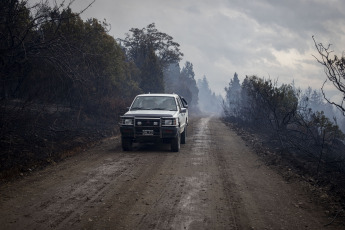 Rio Negro, Argentina.- In the photos taken on March 7, 2023, it shows the forest fire that consumed about one hundred hectares of native vegetation and scrub in El Bolsón, in the province of Río Negro. The advance of the fire was controlled by the brigade members, while a 30-year-old man is being held for his alleged connection to the incident.