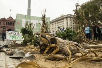 Buenos Aires, Argentina.- En las fotos tomadas el 29 de marzo del 2023, trabajadores campesinos y productores agropecuarios realizaron una protesta en Plaza de Mayo en reclamo de "medidas concretas" para hacer frente a los efectos producidos por la sequía que afecta a gran parte del país. Las altas temperaturas y la ausencia de precipitaciones están haciendo que los cultivos de trigo, cebada, soja, maíz y girasol de Argentina se vean amenazados en su producción, lo que se traduciría en un impacto negativo del 1,8 