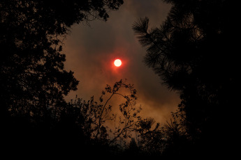 Rio Negro, Argentina.- En las fotos tomadas el 6 de marzo del 2022, cuerpos de bomberos intentan contener las llamas de un incendio forestal en El Bolsón, en la provincia de Río Negro. Sospechan que el fuego habría comenzado de manera intencional, por lo que hay un detenido, según informó el gobierno de Río Negro. Las ráfagas de viento contribuyeron para que en pocos minutos el fuego alcanzara diversos sectores de un cerro, cerca de barrios populares