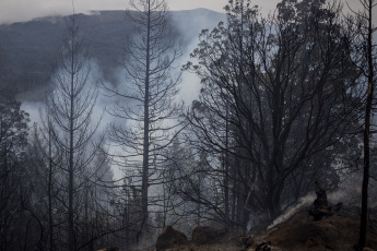 Rio Negro, Argentina.- In the photos taken on March 7, 2023, it shows the forest fire that consumed about one hundred hectares of native vegetation and scrub in El Bolsón, in the province of Río Negro. The advance of the fire was controlled by the brigade members, while a 30-year-old man is being held for his alleged connection to the incident.