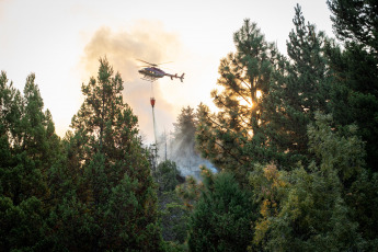 Rio Negro, Argentina.- In the photos taken on March 6, 2022, firefighters try to contain the flames of a forest fire in El Bolsón, in the province of Río Negro. They suspect that the fire would have started intentionally, for which there is a detainee, according to the government of Río Negro. The gusts of wind contributed so that in a few minutes the fire reached various sectors of a hill, near popular neighborhoods