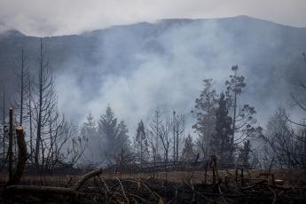 Rio Negro, Argentina.- In the photos taken on March 7, 2023, it shows the forest fire that consumed about one hundred hectares of native vegetation and scrub in El Bolsón, in the province of Río Negro. The advance of the fire was controlled by the brigade members, while a 30-year-old man is being held for his alleged connection to the incident.