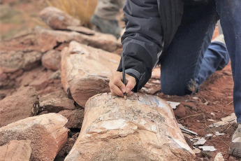 Neuquén, Argentina.- In the photos taken on April 14, 2023, researchers work near the town of Añelo in Neuquén, before the discovery of a titanosaur femur. "We found ourselves in the northern fences of the town of Añelo, approximately three kilometers from the urban area, due to the discovery of dinosaur material; up to now, a femur," UNCo paleontologist Juan Porfiri said in a statement. dialogue with the press.