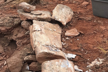 Neuquén, Argentina.- En las fotos tomadas el 14 de abril del 2023, investigadores trabajan en cercanías de la localidad de Añelo en Neuquén, ante el hallazgo del fémur de un titanosaurio. "Nos encontramos en las bardas norte de la localidad de Añelo, a unos tres kilómetros aproximadamente del casco urbano, por el hallazgo de un material de dinosaurio; hasta el momento, un fémur", precisó el paleontólogo de la UNCo, Juan Porfiri, en diálogo con la prensa.