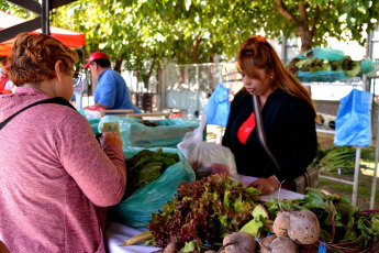 San Juan, Argentina.- En las fotos tomadas el 24 de abril del 2023, las personas compran sus alimentos en una feria de productores locales en San Juan, Argentina. El peso argentino se debilitó hasta un 4,2 % en el mercado cambiario paralelo, la mayor caída de este año, luego de que la inflación aumentara en marzo. En este sentido, los precios al consumidor han subido un 104,3 % en el último año.