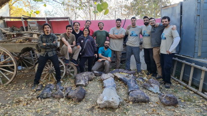 Rio Negro, Argentina.- En las fotos tomadas el 18 de mayo del 2023, paleontólogos del CONICET encontraron en Río Negro restos fósiles de 90 millones de años de antigüedad de un nuevo dinosaurio herbívoro gigante de cuello largo, lo que constituye un hallazgo sin precedentes por ser la especie más grande descubierta en esa provincia.