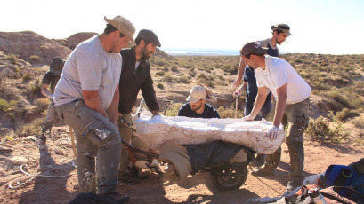 Rio Negro, Argentina.- In photos taken on May 18, 2023, CONICET paleontologists found 90 million-year-old fossil remains of a new giant herbivorous long-necked dinosaur in Río Negro, which constitutes an unprecedented finding. for being the largest species discovered in that province.