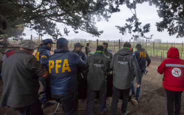 Buenos Aires, Argentina.- En un impresionante operativo llevado a cabo este jueves, la Policía Federal Argentina (PFA) rescató a dos tigres de Bengala que se encontraban en cautiverio en un predio rural de Balcarce. Se trata de la segunda etapa de una investigación, que estuvo a cargo del juez federal Santiago Inchausti, titular del Juzgado Federal en lo Criminal y Correccional N° 1 de Mar Del Plata, y ya permitió rescatar a más de 300 ejemplares vivos de fauna silvestre y frustrar meses atrás la llegada de un oso gris.