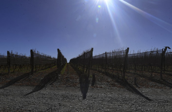 Mendoza, Argentina.- En las fotos tomadas el 20 de junio del 2023, muestra la ciudad turística de Mendoza. Entre enero y mayo de 2023 se produjo un crecimiento histórico del turismo extranjero en Argentina comparado con el mismo período de años anteriores, informó el secretario ejecutivo del Instituto Nacional de Promoción Turística (INPROTUR), Ricardo Sosa. Asimismo, reveló que la llegada constante de turistas extranjeros generó más de 2.000 millones de dólares a la Argentina.