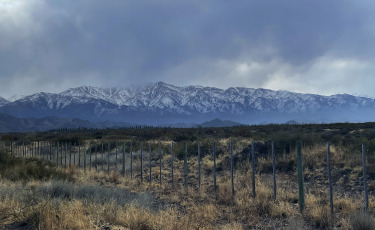 Mendoza, Argentina.- En las fotos tomadas el 12 de julio del 2023, muestra postales de la ciudad de Mendoza en medio de las vacaciones de invierno. La temporada de invierno promete buenos números para Argentina. Desde el Ministerio de Turismo estiman que se movilizarán 5,5 millones de personas alrededor del país que, junto con los extranjeros, sumarán un total de 7 millones de turistas.