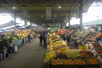 Buenos Aires, Argentina.- En las fotos tomadas el 17 de julio del 2023, muestra el Mercado Central de Buenos Aires. Los precios en Argentina subieron en junio 1,4 puntos porcentuales frente al mes precedente y situaron la tasa de interanual en el 115,6 %, informó el Instituto Nacional de Estadística y Censos (Indec). En el sexto mes del año los precios al consumidor crecieron el 6 % en comparación con mayo pasado, lo que evidencia, por segundo mes consecutivo, una leve desaceleración respecto a la tasa inflacionaria del 8,4 