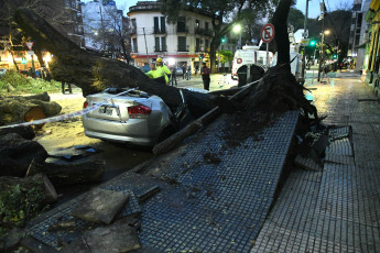 Buenos Aires, Argentina.- In the photos taken on August 18, 2023, it shows the areas affected by severe rains and winds that affected a good part of the southern GBA in Argentina and other areas of the metropolitan area since early Thursday morning. The heavy rains caused the suspension of classes and several people had to be evacuated and transferred to shelter centers. In some areas, 158 millimeters fell, after more than six months without heavy rain. According to official information, there were 1,300 families affected and 175 evacuees.