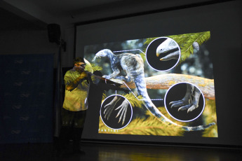 Buenos Aires, Argentina.- En las fotos tomadas el 16 de agosto del 2023, científicos argentinos participaron del hallazgo de un enigmático reptil de 230 millones de años en el Museo Argentino de Ciencias Naturales (MACN) Bernardino Rivadavia de Buenos Aires. Los restos fósiles de un animal que vivió en la región hace 230 millones de años, ofrece pistas claras de la evolución temprana de los pterosaurios, también conocidos como reptiles voladores, y de sus primos cercanos, los dinosaurios.