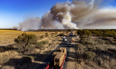 San Luis, Argentina.- En las fotos tomadas el 27 de septiembre del 2023, bomberos combaten un incendio forestal en la zona sur de la ciudad de San Luis. El jefe de Bomberos de la Policía provincial, Rafael Godoy, explicó que el siniestro se originó en la banquina de la Ruta Provincial Nº 3, pasando la Autopista de las Serranías Puntanas, y se extendió por el viento en dirección sur, afectando la vegetación.