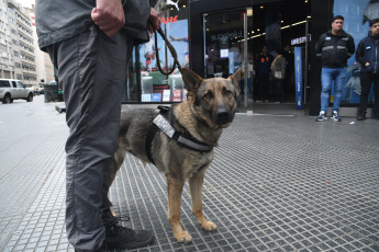 Buenos Aires, Argentina.- In the photos taken on October 11, 2023, members of the Federal Police and inspectors from the Federal Administration of Public Revenue (AFIP) carry out inspection operations in the city of Buenos Aires with the aim of stopping operations in the informal currency market, where the so-called "blue" dollar surpassed the 1,000 peso barrier.