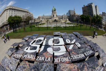 Buenos Aires, Argentina.- In the photos taken on October 10, 2023, the international environmental organization Greenpeace carried out an activity in the Plaza del Congreso in which it displayed panels denouncing that clearings in Argentina increased by 21% compared to the previous year. same period last year. The non-governmental organization (NGO) once again called on citizens to vote on the penalization of illegal clearings and participate in the Popular Consultation.