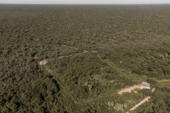 Corrientes, Argentina.- En las fotos tomadas el 4 de octubre del 2023, autoridades liberaron a un segundo ejemplar de yaguareté silvestre en los Esteros del Iberá, provincia de Corrientes, informó la Fundación Rewilding Argentina. Esta acción, marcó el segundo retorno de un yaguareté de origen silvestre a su hábitat en la provincia como parte de un proyecto de reintroducción.