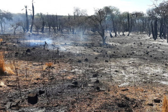 Córdoba, Argentina.- In the photos taken on October 10, 2023, they show the forest fires that affected the province of Córdoba, Argentina. Córdoba Firefighters evacuated more than 20 families in the town of Villa Carlos Paz, due to the forest fires that occurred there, which reached residential areas and devastated thousands of hectares. This Wednesday, some rainfall was recorded in the affected areas, which benefited the intense work of the brigade members who controlled the incident.