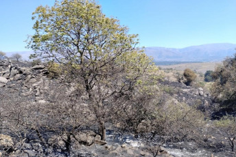 Córdoba, Argentina.- In the photos taken on October 10, 2023, they show the forest fires that affected the province of Córdoba, Argentina. Córdoba Firefighters evacuated more than 20 families in the town of Villa Carlos Paz, due to the forest fires that occurred there, which reached residential areas and devastated thousands of hectares. This Wednesday, some rainfall was recorded in the affected areas, which benefited the intense work of the brigade members who controlled the incident.