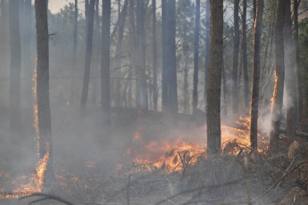 Córdoba, Argentina.- En las fotos tomadas el 10 de octubre del 2023, muestra los incendios forestales que afectaron la provincia de Córdoba, Argentina. Personal de Bomberos de Córdoba evacuó a más de 20 familias en la localidad de Villa Carlos Paz, debido a los incendios forestales que se registraron en el lugar, que alcanzaron zonas residenciales y arrasó miles de hectáreas. Este miércoles, se registraron algunas precipitaciones en las zonas afectadas, lo que benefició el intenso trabajo de los brigadistas que controlaron el siniestro.